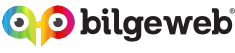 Bilgeweb